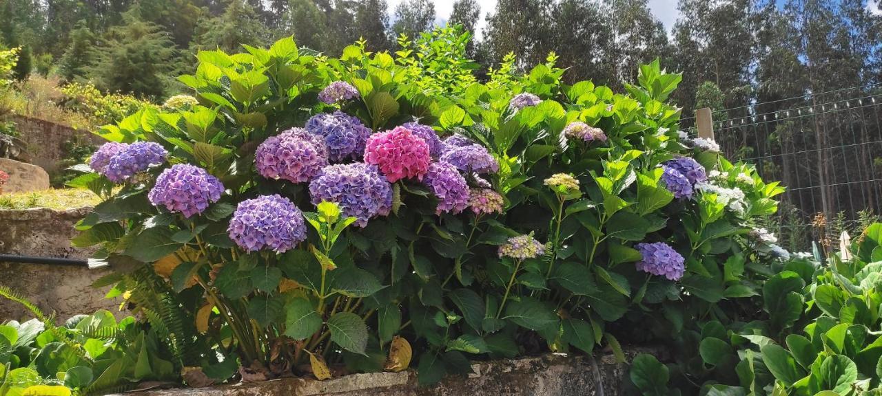 Holiday home Quinta Da Costeira *