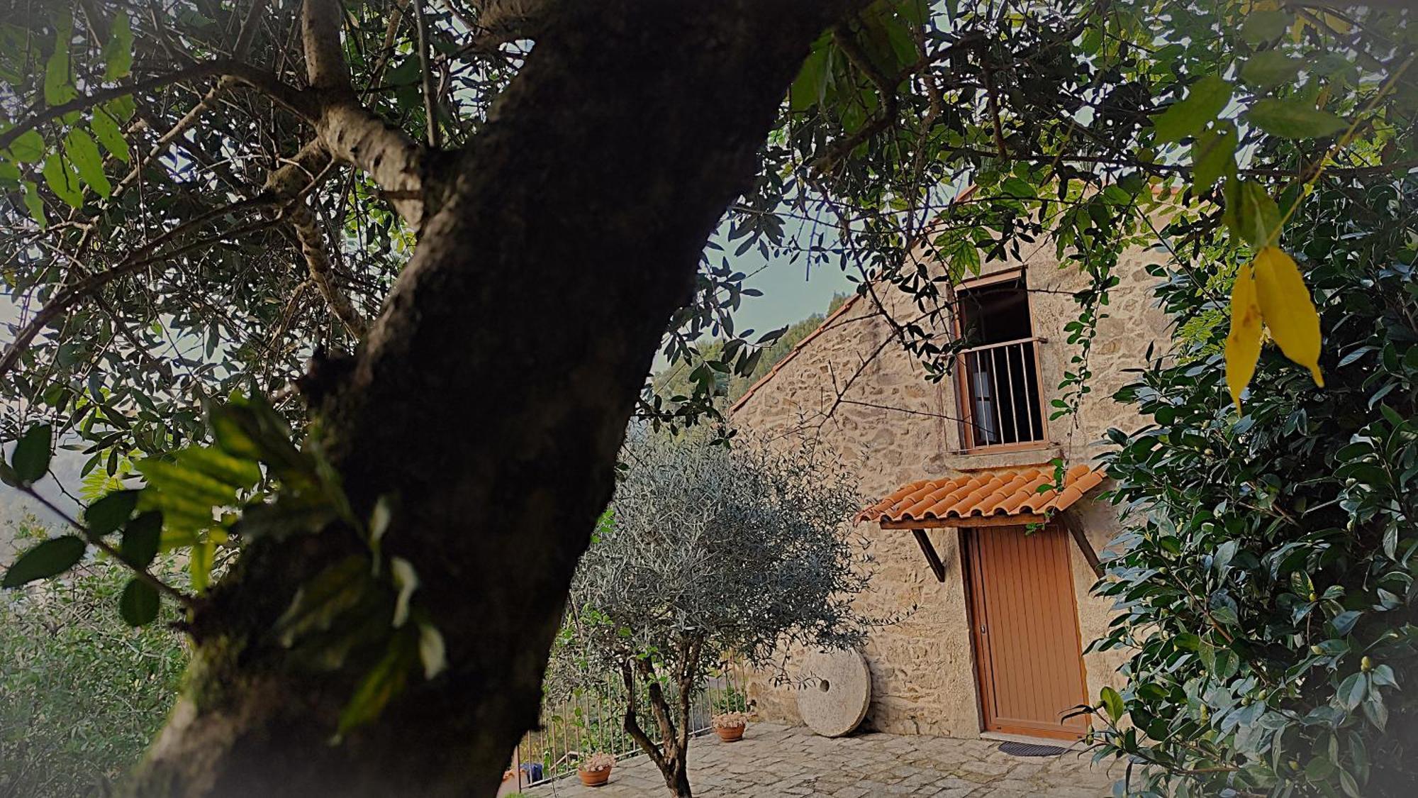 Quinta Da Costeira Holiday home Sever do Vouga