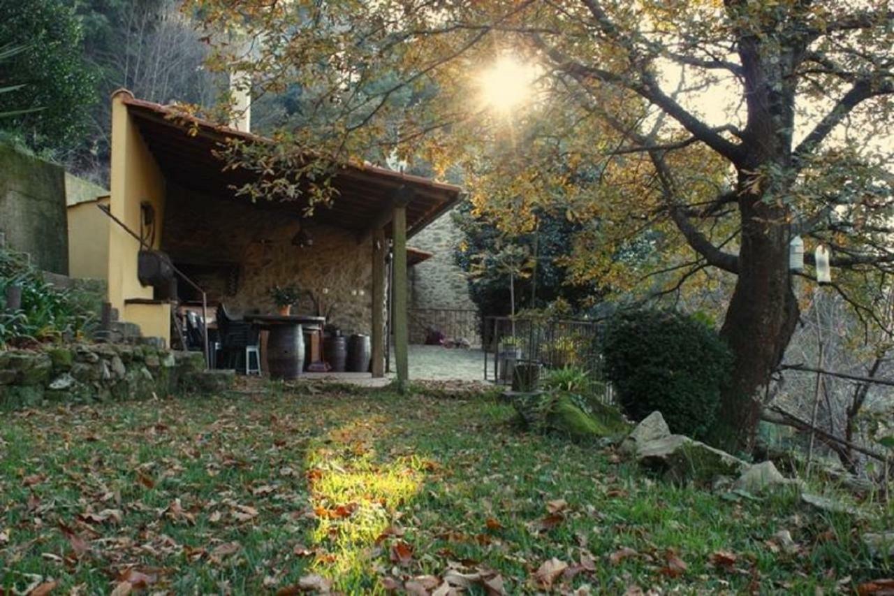 Quinta Da Costeira * Sever do Vouga