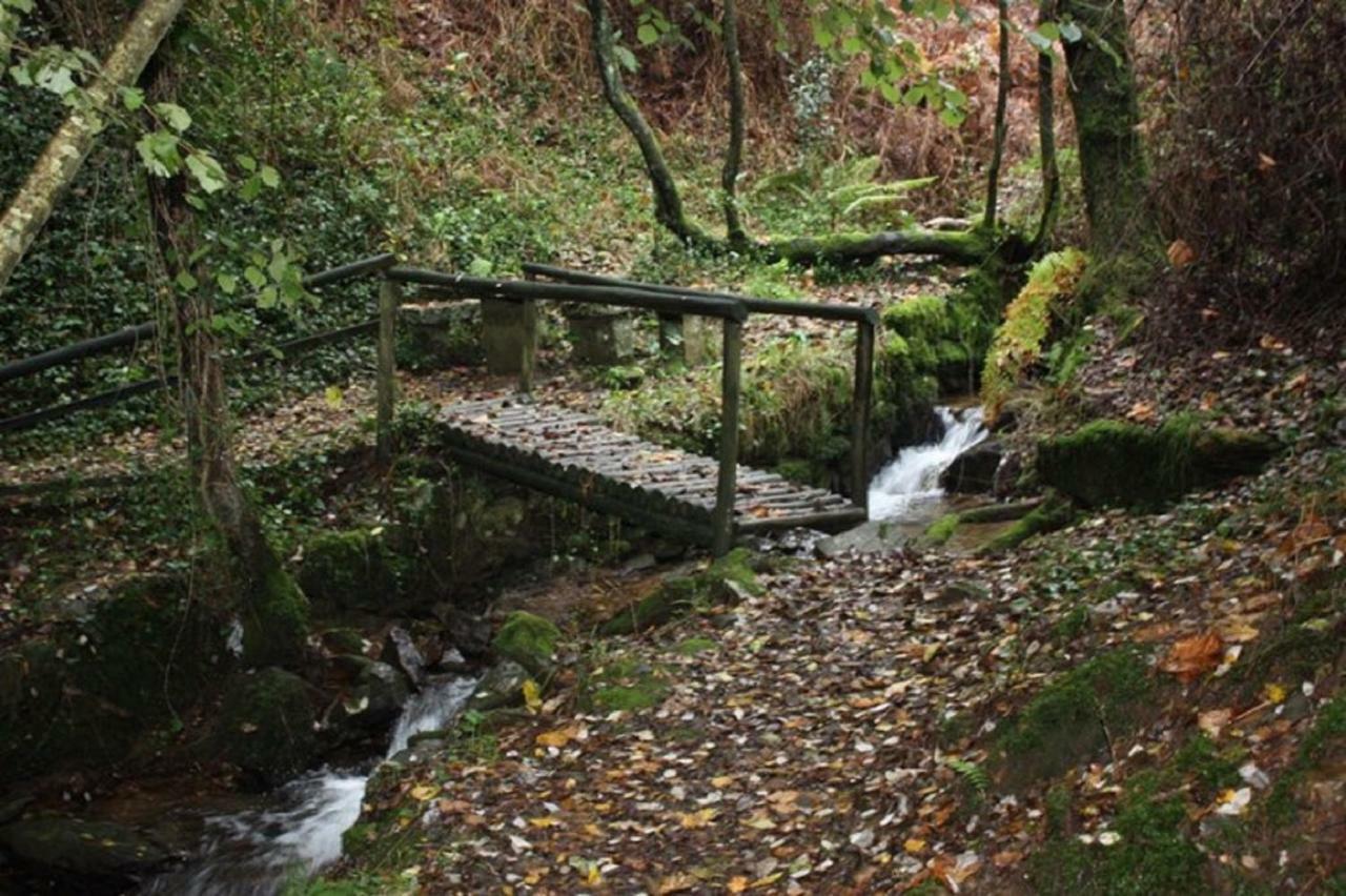 Quinta Da Costeira * Sever do Vouga