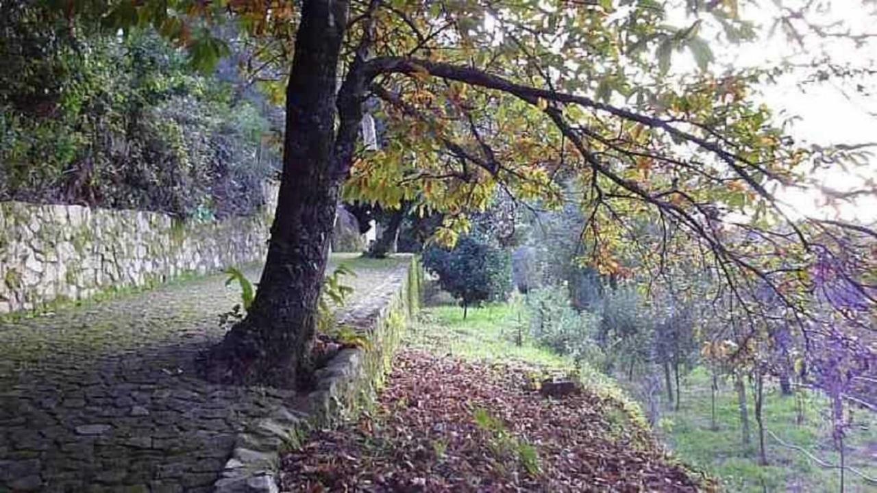 Holiday home Quinta Da Costeira