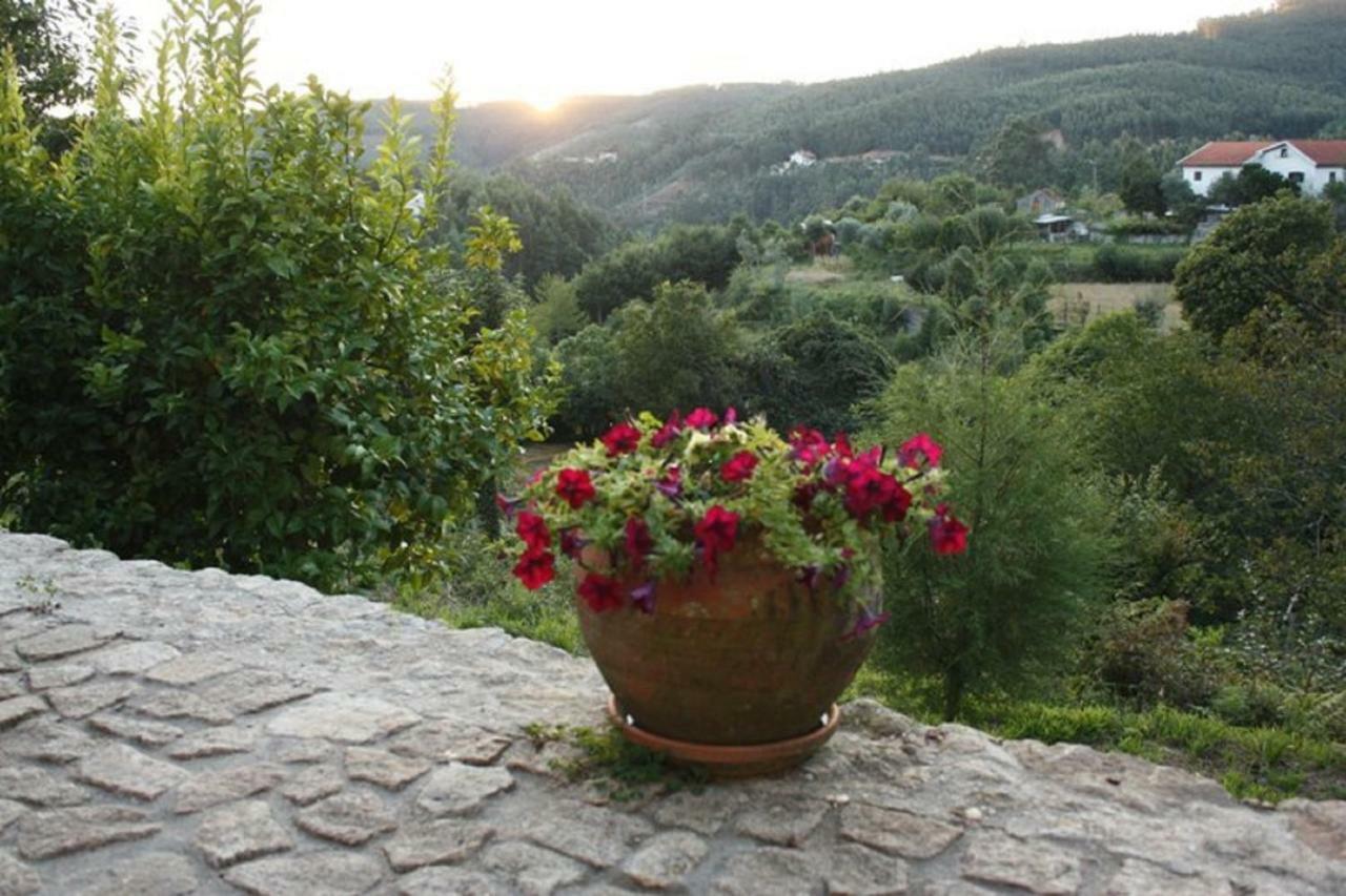 Quinta Da Costeira Holiday home Sever do Vouga